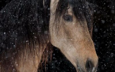 WhatsApp Image 2018-11-13 at 07.36.23.jpeg